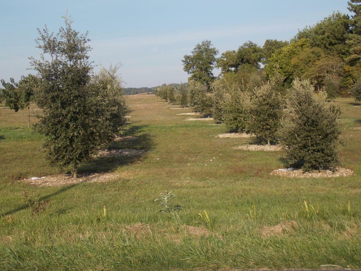 Penzion Le Petit Breuil Verteillac Exteriér fotografie